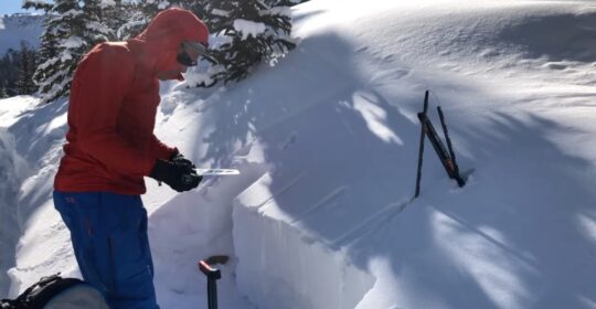 An IFMGA Guide digging a snow pit on an avalanche course in Colorado