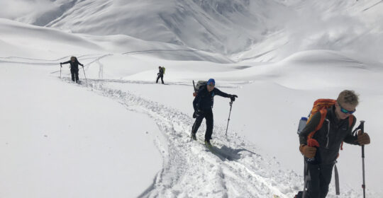 Students ski touring on an avalanche education course in Colorado