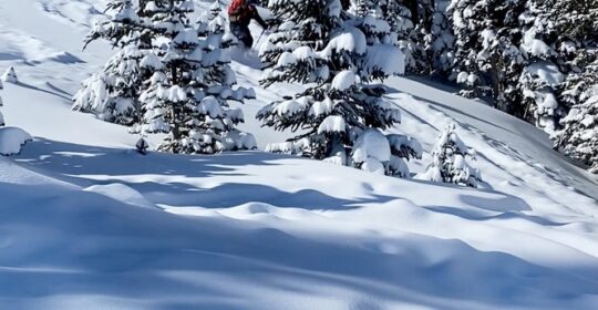 Introduction to backcountry skiing course student enjoying the powder in Colorado