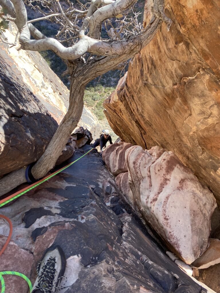 Climber in Red Rocks on Cat in the Hat and Cookie Monster