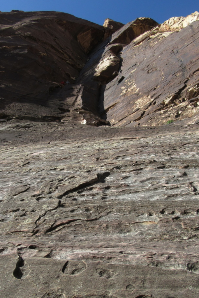Looking up Dark Shadows in Red Rock Conservation Area