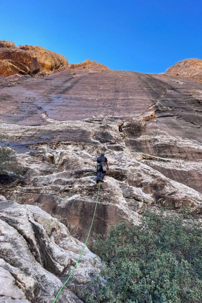 Dream of Wild Turkeys Rock Climbing in Red Rocks